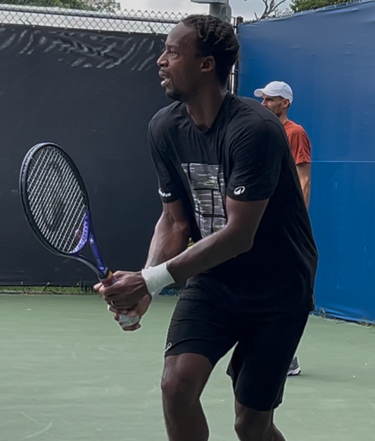 Gael Monfils Backhand